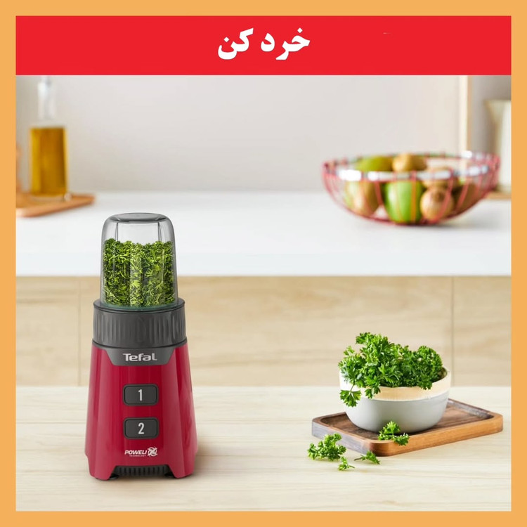 آسیاب و مخلوط کن برند: تفال(Tefal) مدل:BL1685