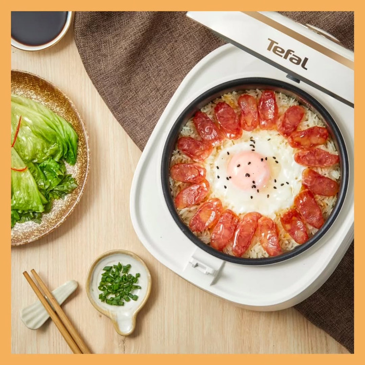 مولتی کوکر مینی برند: تفال(Tefal)