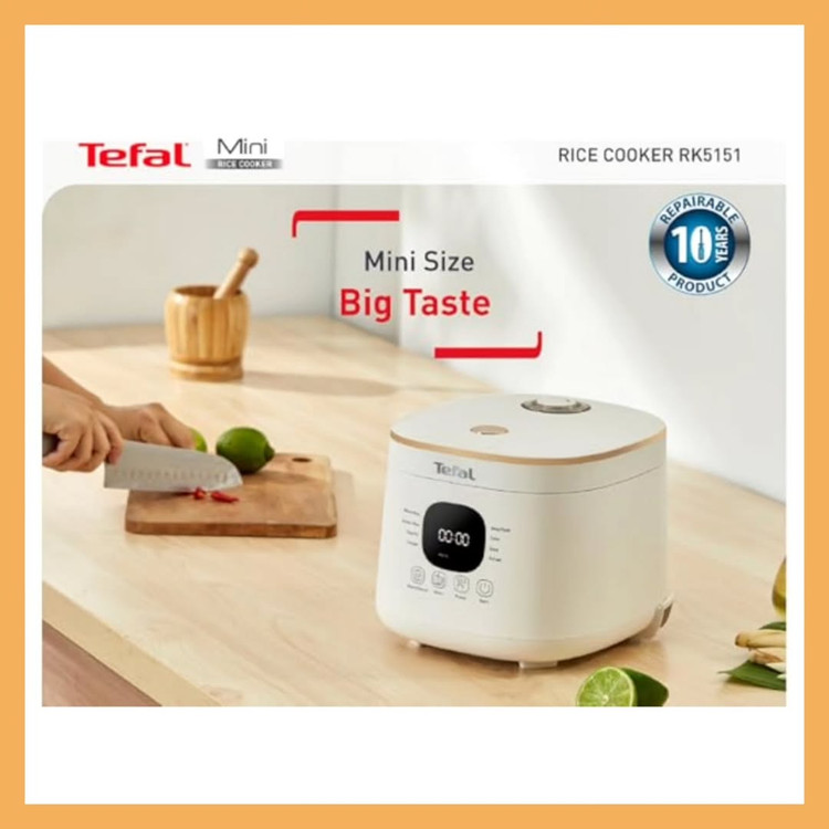 مولتی کوکر مینی برند: تفال(Tefal)