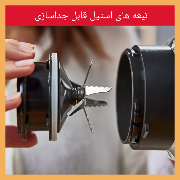 آسیاب و مخلوط کن برند: مولینکس(Moulinex) مدل:BL811D