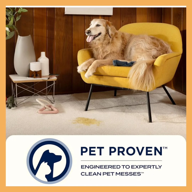 فرششوی بیسل مدل ۳۶۹۸۴ (SpotClean 36984)